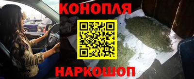 гидра Моздок