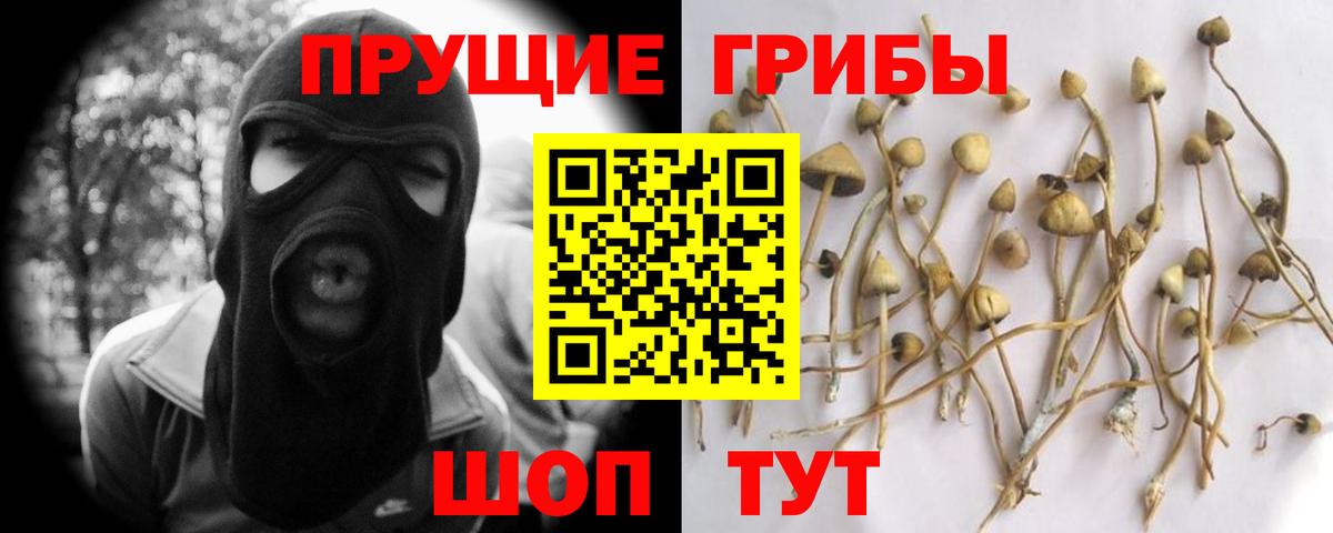 Галлюциногенные грибы Magic Shrooms Тосно